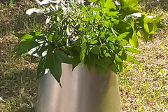 FIORIERA-CONICA-DOUBLE-FACE