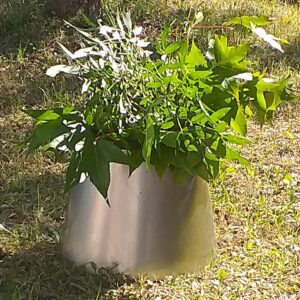 fioriere in acciaio Pordenone